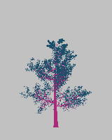 greenshift tree