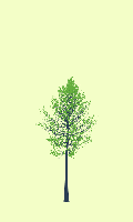 greenshift tree