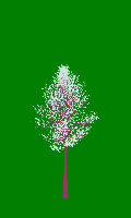 greenshift tree