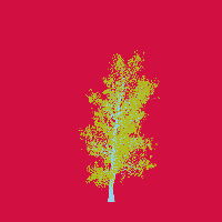 greenshift tree