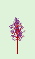 greenshift tree