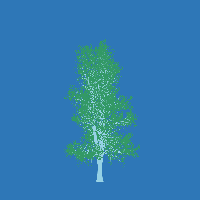 greenshift tree