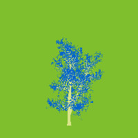greenshift tree