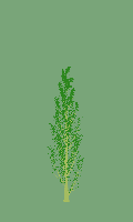 greenshift tree