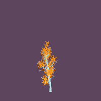 greenshift tree