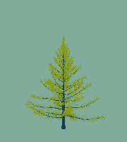 greenshift tree
