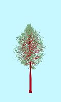 greenshift tree