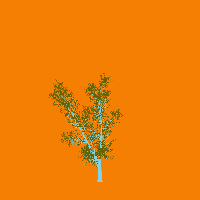 greenshift tree