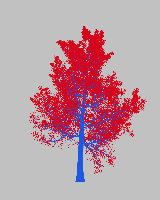 greenshift tree
