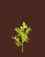 greenshift tree