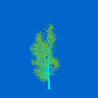 greenshift tree