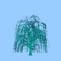 greenshift tree