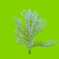 greenshift tree