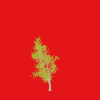 greenshift tree