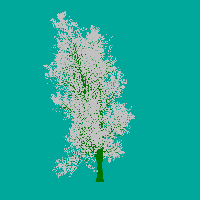 greenshift tree