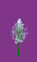 greenshift tree