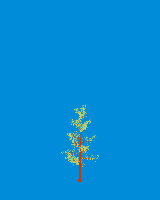 greenshift tree