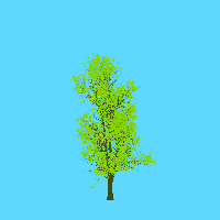 greenshift tree