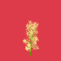 greenshift tree
