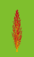 greenshift tree