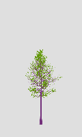 greenshift tree