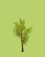 greenshift tree