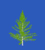 greenshift tree