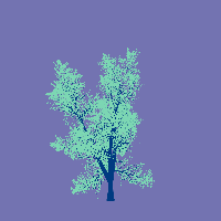 greenshift tree