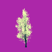 greenshift tree