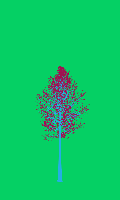 greenshift tree