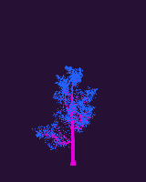 greenshift tree