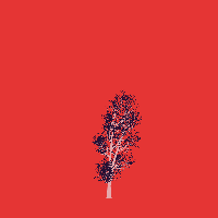 greenshift tree