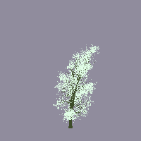greenshift tree