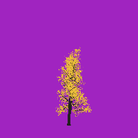 greenshift tree