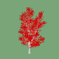 greenshift tree