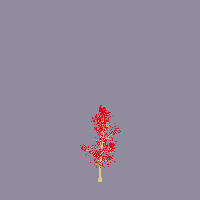 greenshift tree