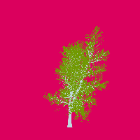 greenshift tree