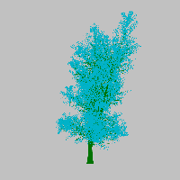 greenshift tree