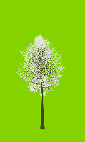 greenshift tree