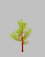 greenshift tree