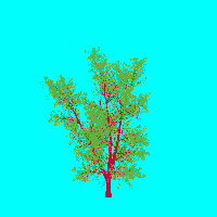 greenshift tree