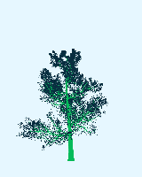 greenshift tree