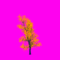 greenshift tree