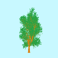 greenshift tree
