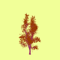 greenshift tree