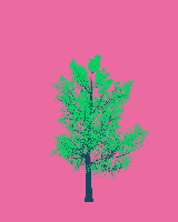 greenshift tree
