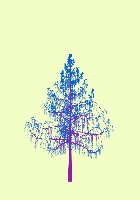 greenshift tree