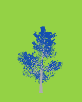 greenshift tree