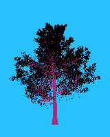 greenshift tree