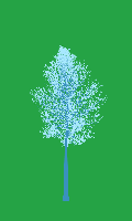 greenshift tree